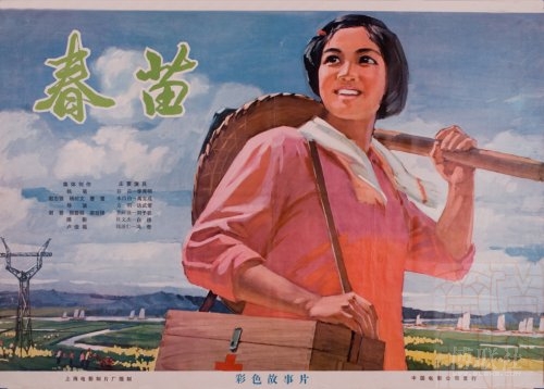 没有高中毕业证可以报考教师资格证吗